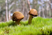 世界举重康复示范课堂第36站报道与学员反馈发布，世界举重比赛现场视频